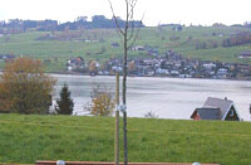Szwajcaria miasto partnerskie Kussnacht am Rigi, widok na jezioro
