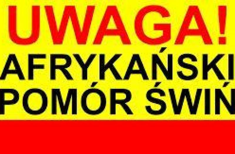 Afrykański Pomór Świń