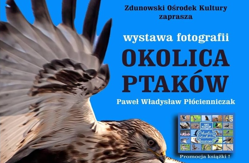 Plakat